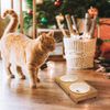 Pfotenolymp® Premium Futterstation / Futternapf für Katzen aus Bambus / Holz - 2 Näpfe für Deine Katze für Wasser und Futter