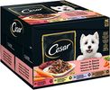 Cesar Selektion in Sauce – Ausgewogenes Feuchtfutter in 48 Portionsbeuteln für Hunde – Auswahl mit Rind, Huhn, Lamm und Truthahn – Hundefutter – 2er Pack (2 x 24 Portionsbeutel à 100g)