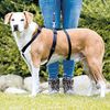 TRIXIE Stay Hundegeschirr - S/M