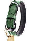 Schnüffelfreunde Lederhalsband Hund (XXL - 55-65cm, Grün)