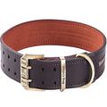 Reflektierendes Echtleder Hundehalsband verstellbar weich Gepolstert für Kleine, Mittelgroße und Extra Große Hundehalsbänder (Braun XL (Hals 51,5cm-63,5cm)) Reflektierendes Echtleder Hundehalsband verstellbar weich Gepolstert für Kleine, Mittelgroße und Extra Große Hundehalsbänder (Braun XL (Hals 51,5cm-63,5cm))