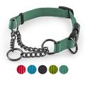 CarlCurt - Training Line: Retriever-Hundehalsband Aus Strapazierfähigem Nylon, Verstellbar, M 35-45cm, Grün
