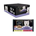 Cesar Senior 10+ Hundefutter Nassfutter Selektion in Gelee mit Huhn/Rindfleisch und Reis, 13 x (4 x 100g)