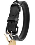 Schnüffelfreunde Lederhalsband Hund (XL - 46-55cm, Schwarz)