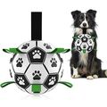 Hetoo Interaktives Hundespielzeug, Fußball, mit Greif-Laschen, langlebige Hundebälle für kleine und mittelgroße Rassen, Wasserspielzeug, geeignet für drinnen und draußen