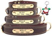 SLZZ Premium Personalisiert Hundehalsband aus Leder, mit graviertem Namensschild, personalisierbar, weiche Haptik, strapazierfähiges Echtleder, verstellbar, perfekt für große Hunde