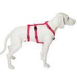 Feltmann No Exit ausbruchsicheres Hundegeschirr für Angsthund, Sicherheitsgeschirr für Pflegehunde, Panikgeschirr, Super Soft, pink, Bauchumfang 35-50 cm, 15 mm Bandbreite