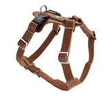 HUNTER Aalborg Hundegeschirr, Leder, M-L/1, Cognac