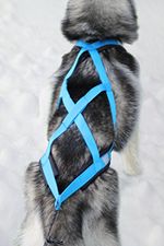 Northern Howl X-Back Zuggeschirr Fuer Bike-, Skijoring Dogscooting Canicross Schlitten in Blau