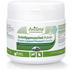 AniForte Grünlippmuschelpulver Hund & Katze 250g - Naturprodukt unterstützt Gelenke & Gelenkfunktion, Grünlippmuschel Hund & Katze in Vollfettqualität, für jedes Alter, mit hoher Akzeptanz