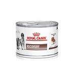 ROYAL CANIN Recovery Hund und Katze (12 x 195 g)