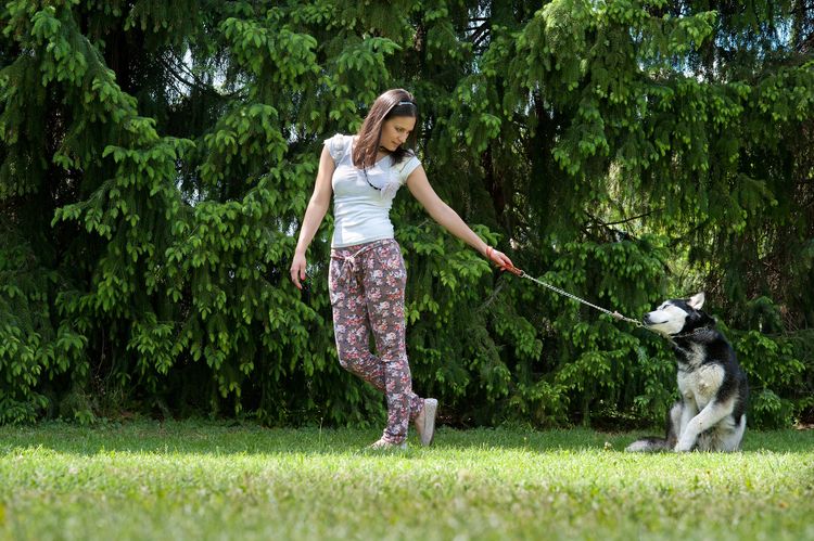 Mädchen und ihr treuer sibirischer Husky