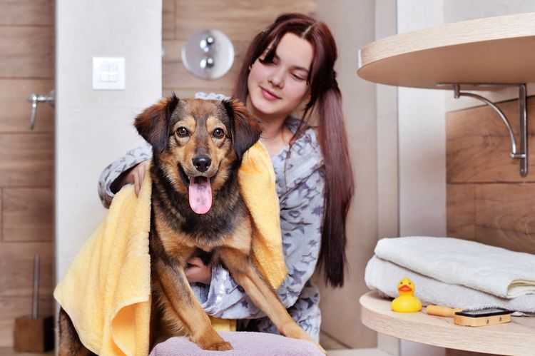 Lächeln,Hund,Lila,Fleischfresser,Gelb,Glücklich,Hunderasse,Komfort,Kitz,Tisch, Bademantel, Hundebademantel, Gelbes Handtuch für Hund, Hundetandtuch, Hund im Badezimmer, Hund baden, duschen, Shampoo für Hunde