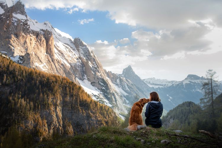 randonnée dans le tirol avec un chien, randonnée avec un chien, randonnée en autriche avec un chien, randonnée avec un chien dans le tirol, promenade avec un chien dans les montagnes, randonnée près d'un lac dans le tirol