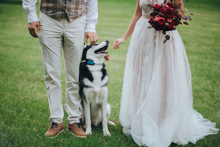 Menyasszony és vőlegény huskyval fotó, husky, canidae, kutya, esküvői ruha, ruha, menyasszony, kutyafajta, szertartás, ruha, menyasszony és vőlegény kutyával