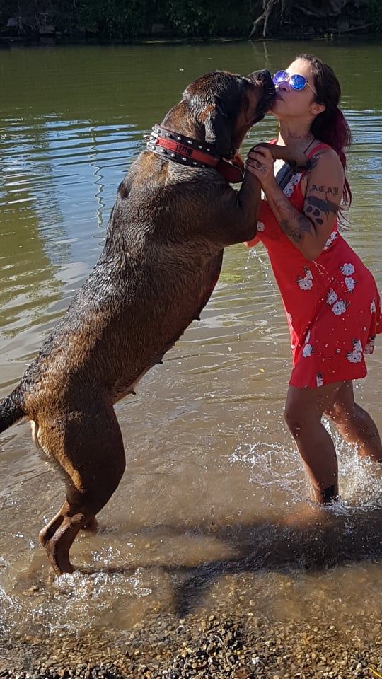 Wasser, Hund, Menschen am Strand, Fleischfresser, glücklich, Brille, Arbeitstier, Freizeit, Spaß, Hunderasse,