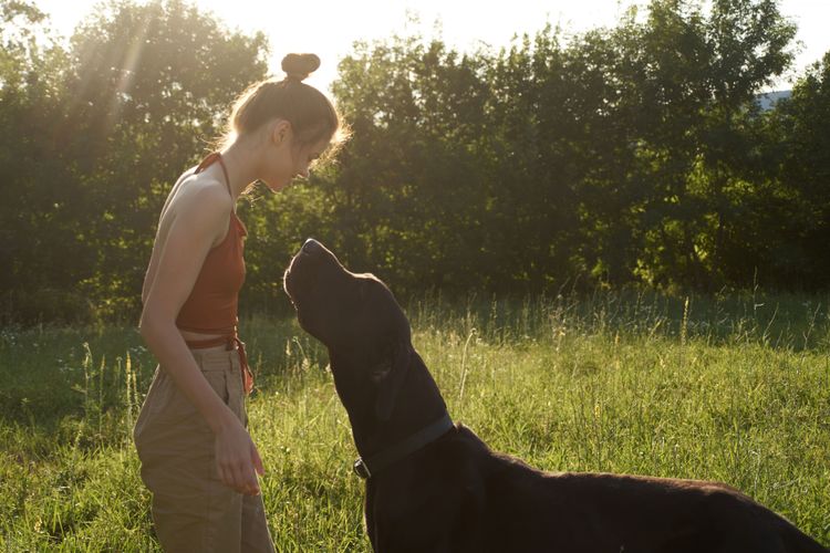 Great Dane looks at mistress People in nature,Grass,Green,Light,Canidae,Sunlight,Dog,Morning,Meadow,Grass family,