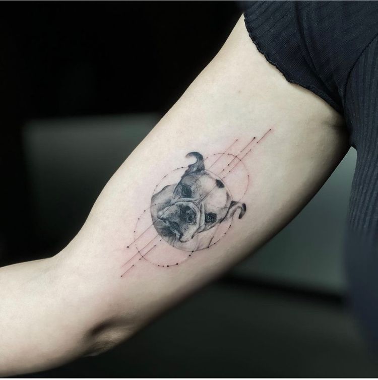 Tatuaje de cabeza de bulldog inglés, tatuaje moderno de un perro, tatuaje de cabeza de perro, tatuaje de perro en el interior del brazo, tatuador húngaro