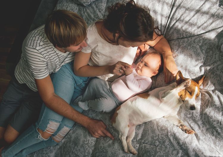 famile cuddles with terrier in bed and baby with her Dog moves in, tips for dog training