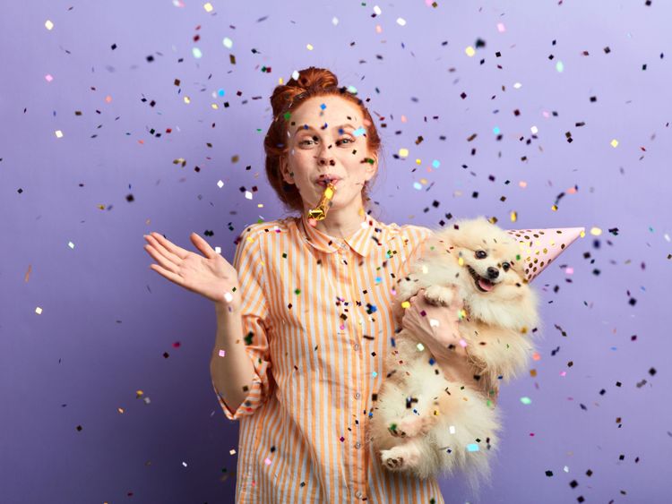 Chien au bras de son maître et confettis volant dans les airs, spitz nain heureux et souriant, poméranien