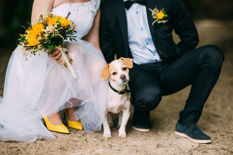 fotó, kutya, canidae, társas kutya, kutyafajta, esküvői ruha, ceremónia, estélyi ruha, kutya a menyasszony és a vőlegény között az esküvőn, kutya repül, menyasszony sárga menyasszonyi cipőt és sárga menyasszonyi csokrot visel.