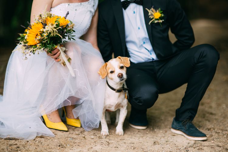 photo, chien, canidé, chien de compagnie, race de chien, robe de mariée, cérémonie, robe de soirée, chien entre la mariée et le marié au mariage, chien volant, la mariée porte des chaussures de mariée jaunes et un bouquet de mariée jaune