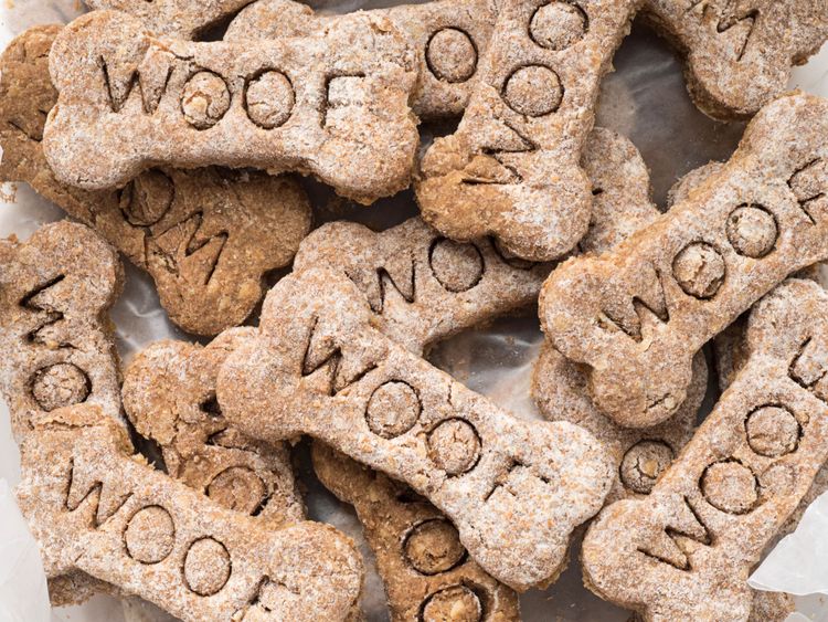 Hundekuchen Clicker Training mit Leckerli im Anschluss