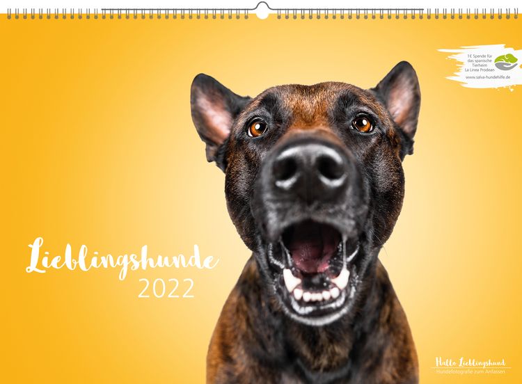 Lieblingshund Kalender 2022 Hund,Hunderasse,Fleischfresser,Kiefer,Schnurrhaare,Halsband,Begleithund,Kitz,Arbeitstier,Ohr,