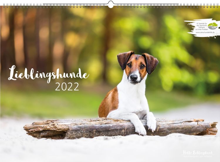 Lieblingshund Kalender 2022 Hund,Natur,Hunderasse,Fleischfresser,Rehkitz,Begleithund,Anpassung,Holz,Terrestrisches Tier,Sportliche Gruppe,
