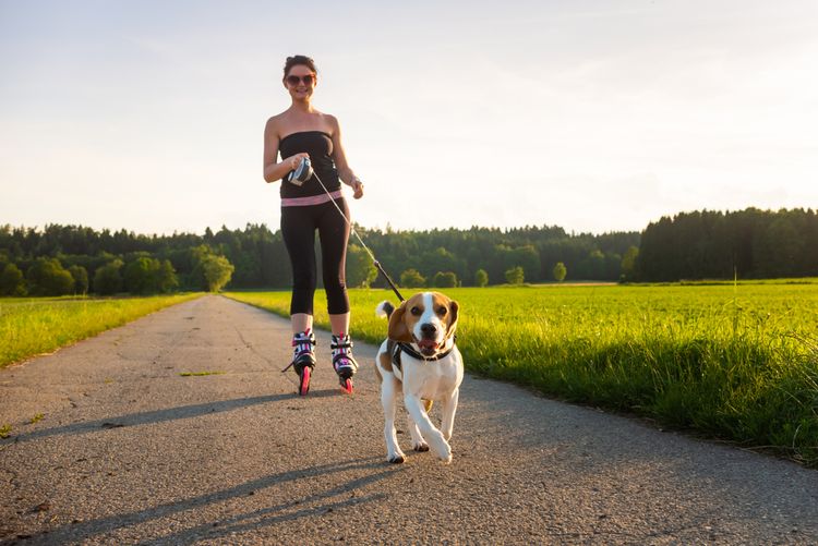 Roller skating with a dog, inline skating with a dog on a leash