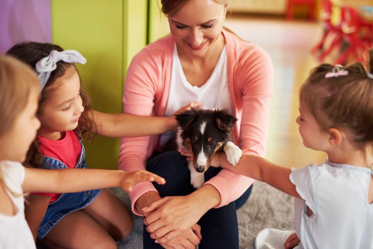 School dog puppy school dog with teacher in the middle, three girls petting him all around, child, fun, ear, human, canidae, hand, vet, toddler, game, dog breed, winhound puppy