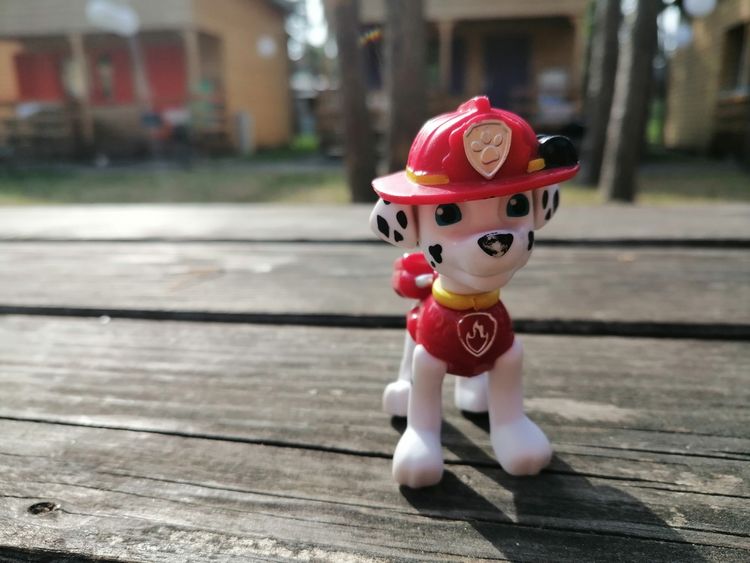 Marshall Dalmatian Paw Patrol Toy, wood, doll, plant, hat, crimson, hardwood, fashion accessory, flooring, figurine,