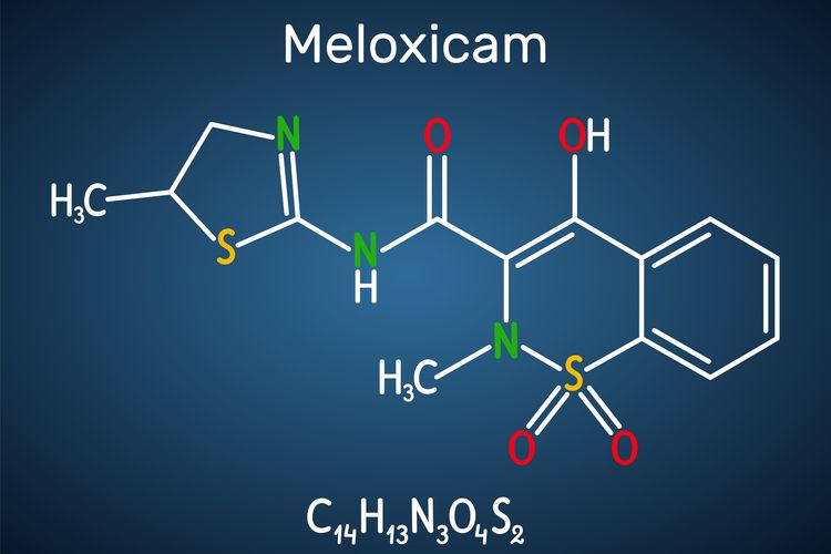 Molécula de meloxicam C14H13N3O4S2. Es un antiinflamatorio no esteroideo (AINE). Fórmula química estructural sobre fondo azul oscuro. Ilustración vectorial