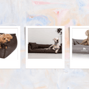 Hundebett: Leder als langhaltendes Investment