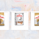 Royal Canin Hundefutter