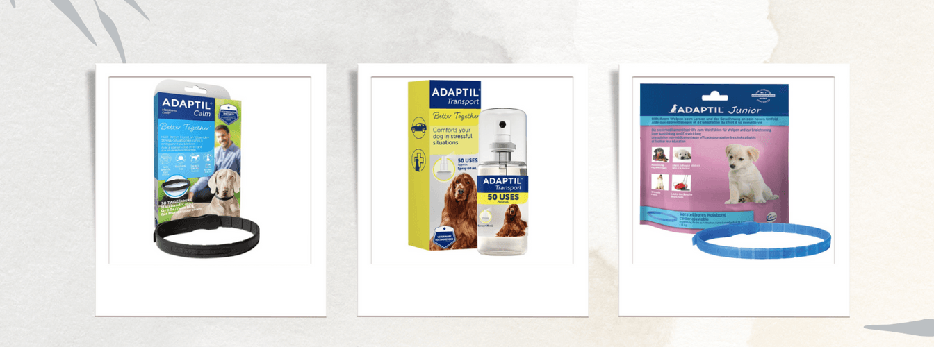 Adaptil Hunde Halsband Lösung zur Beruhigung
