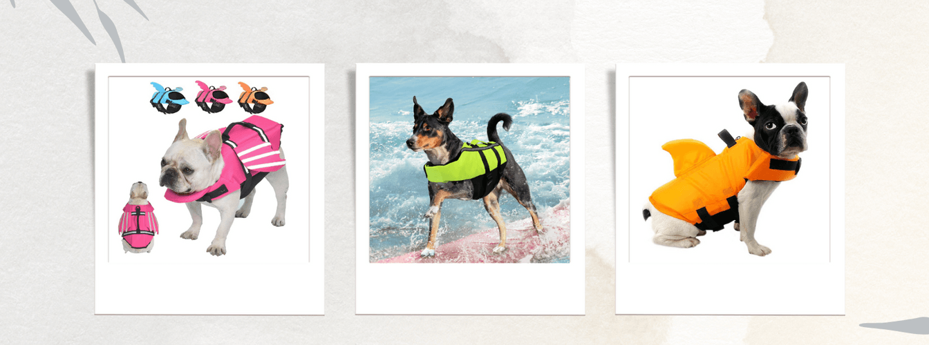 Schwimmweste für Hunde