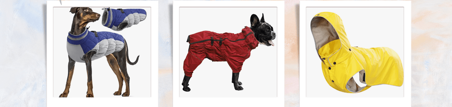 Regenmantel Hund Fleischfresser,Ärmel,Arbeitstier,Hunderasse,Schriftart,Kitz,Hund,Kunst,Tierfigur,Leber,