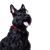 Scottish Terrier schwarz, kleiner Hund mit schwarzem Fell, Hund mit langem Fell, schwarze Hunderasse, Stehohren, Hund mit Schnauzer, Stadthund, Hunderasse für Anfänger