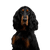 Dog,Vertebrate,Canidae,Dog breed,Mammal,Gordon setter,Carnivore,Cocker spaniel,Sporting Group,Setter,