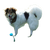 Hund,Hunderasse,Fleischfresser,Begleithund,Schnauze,Schwanz,Sportliche Gruppe,Hundebedarf,Canidae,Happy,