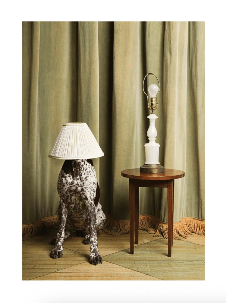 https://desenio.de/p/poster/the-dog-lamp-poster/