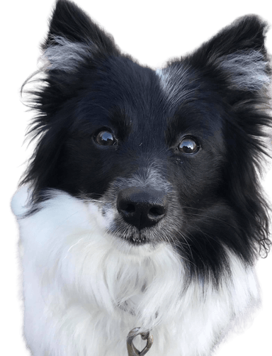 Borderspitz Borderspitz