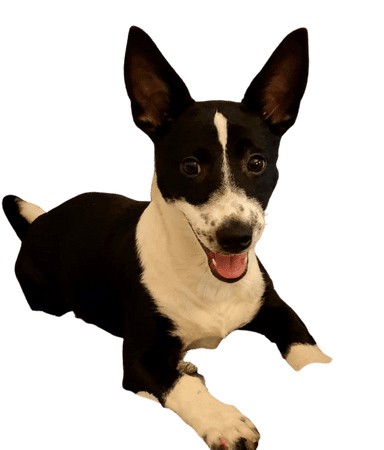 Foxy Russell Foxy Russell