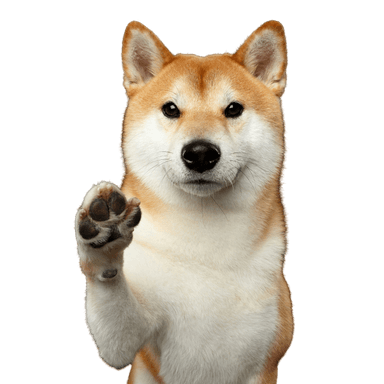 Shiba Inu Shiba Inu