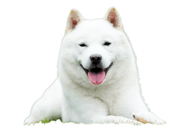 Hokkaido Hokkaido