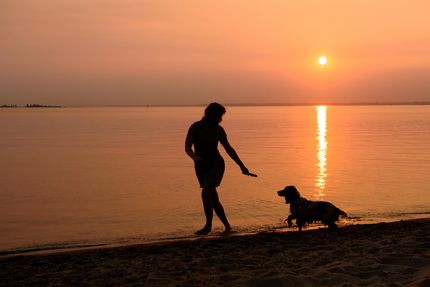 Sommer-Workout mit Hund: Fitness-Tipps für heiße Tage