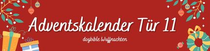 Tür 11: Gewinne eine Mineralstoffmischung für Hunde und eine Lieblingstasse