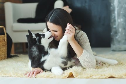 Welcher Hund passt zu mir - Ratgeber