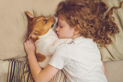 Wie viel Stunden schlafen Hunde am Tag?